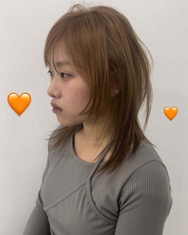 레이어드컷 · 허쉬컷