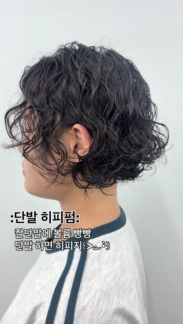 히피펌 · 구름펌