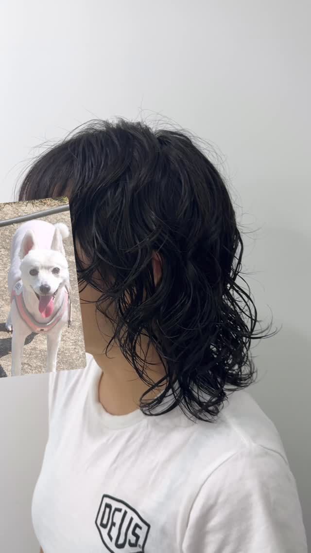 빈티지펌